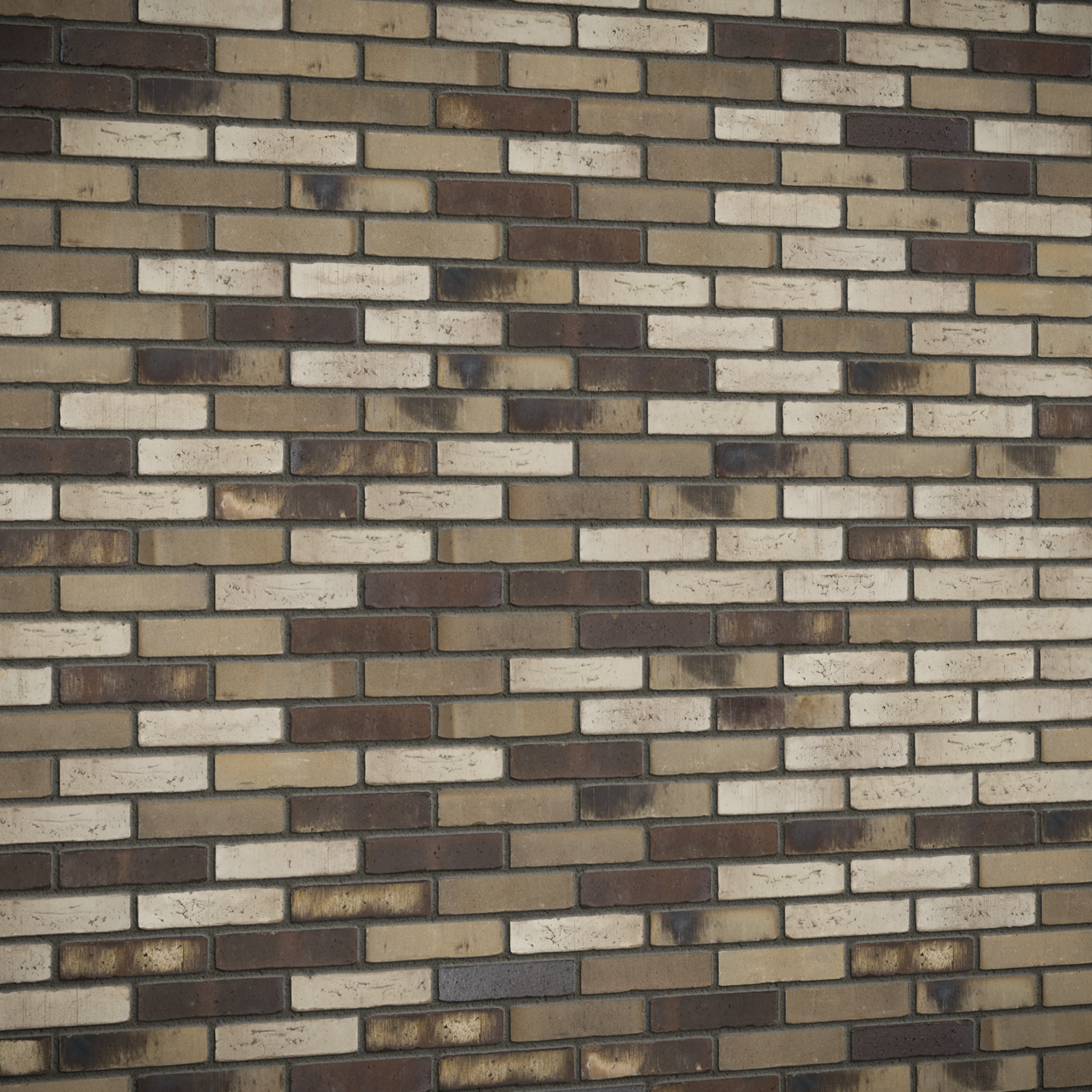 Our textures are wild!